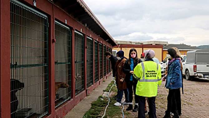 Öğrenciler Büyükşehir barınağında hayvan dostlarıyla buluştu 