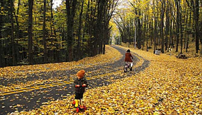 İl Ormanı'nda sonbahar bir başka 