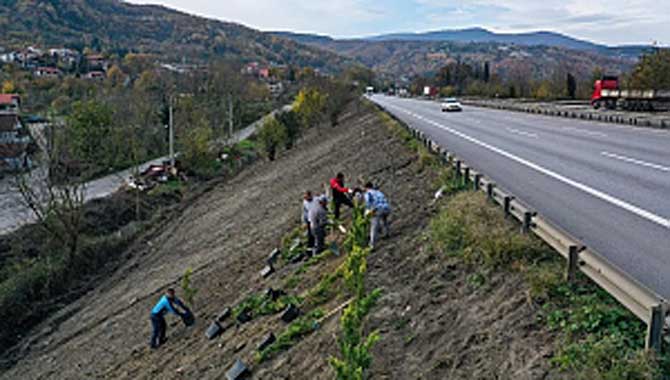 Sapanca’da Ses Perdesi Projesine Başlandı 