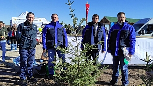 SEDAŞ Milli Ağaçlandırma Günü’nde 750 fidan dikti 