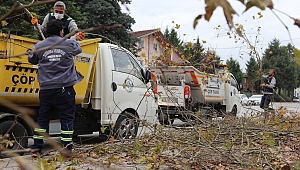 Serdivan Belediyesi’nden Sonbahar Mesaisi 