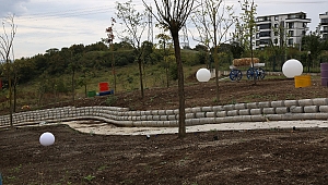 Serdivan Belediyesi’nin Peyzaj Çalışmaları Devam Ediyor 