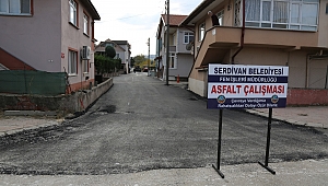 Serdivan’da 9 Sokak Daha Asfaltlandı 
