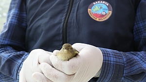 Yaralı Kuşu Serdivan Belediyesi’ne Emanet Etti 