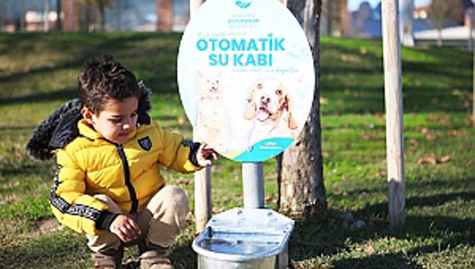 Büyükşehir can dostların hep yanında 