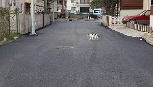 Çark Kenarına Estetik Dokunuş 