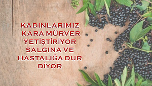 Kara Mürver Projesi’nde eğitimler başladı 