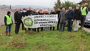 Serdivan’da Fidanlar Toprakla Buluştu 