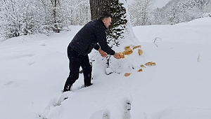 Başkan Özen Sokak Hayvanlarını Unutmadı 