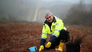 Başkan Yüce açıkladı, 100 bin adet kuşburnu ekiliyor 