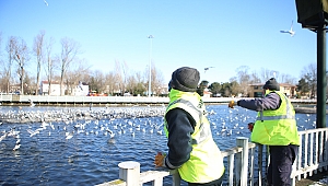 Büyükşehir yılın en soğuk günlerinde onlar için sahada 