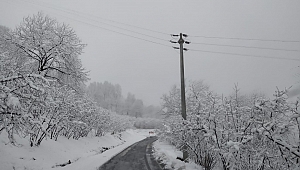 HENDEK KARLA MÜCADELEDE 724 HAZIR 
