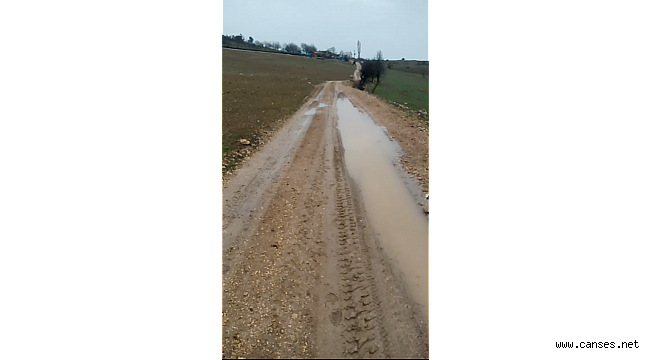 Taraklı’da Gülveren Sokakta Yolla Çamur içinde