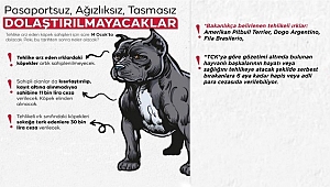 Tehlikeli ırklar için son gün 14 Ocak