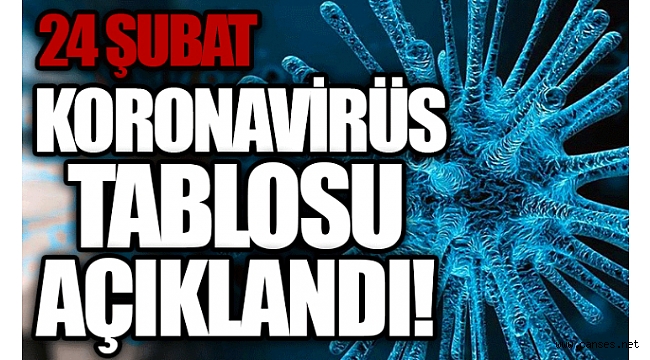 24 Şubat koronavirüs tablosu açıklandı
