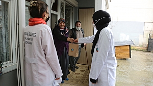 Asırlık Çınarlar Kandilde Unutulmadı 