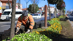 Şehrin sokakları rengârenk bir çiçek bahçesine dönüşüyor 
