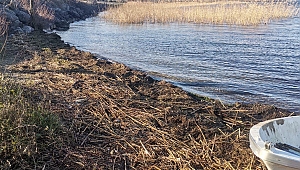 Büyükşehir Sapanca Gölü’nü koruyor: Vatandaşlara önemli uyarı 