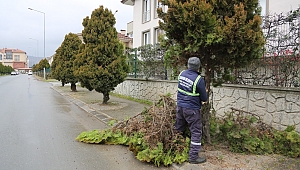 Serdivan Bahara Hazırlanıyor 