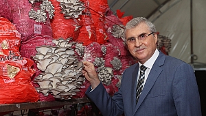 Yüce’den proje müjdesi: “Türkiye’nin en kaliteli mantarlarını üreteceğiz” 