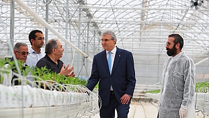 Büyükşehir'in devasa serasında ilk tohumlar yeşerdi 