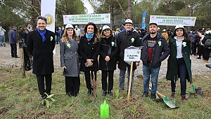 ‘Her ruhsat bir fidan’ oldu 