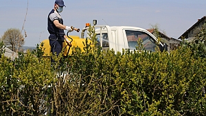 Serdivan Belediyesi İlaçlama Çalışmalarına Başladı 