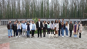 ‘Sokak hayvanlarımıza sahip çıkıyoruz’ 