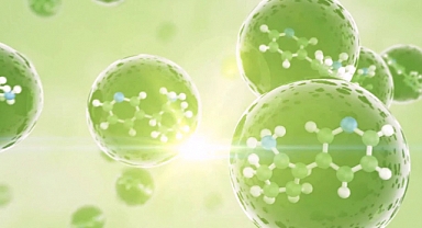 Transdermal Tedavi Sistemleri nedir ?