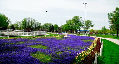 Yollar, parklar ve caddeler rengârenk
