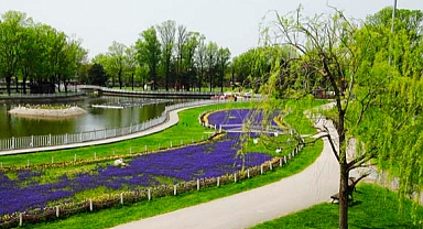 Sakarya kısıtlamasız bir yaza hazırlanıyor: