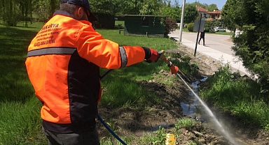 Sapanca’da, Larva için Erken Önlem 