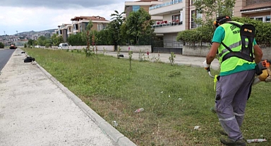 ASEM’de Hummalı Çalışma 