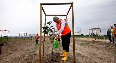 Büyükşehir’in meyve bahçesinde Sakarya’da bir ilk 