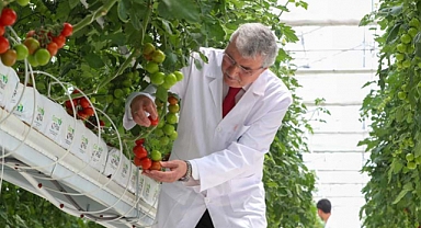 İlk ürünler sofrada: Bereketli bir hasatla 30 bin kilogram alındı 