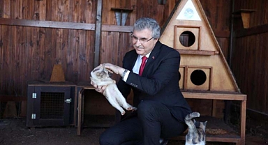 Marmara'nın 'yuvası' gün sayıyor: Patili dostlar için her şey düşünüldü 