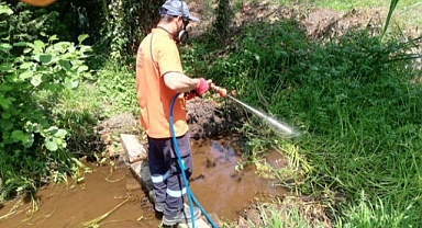 Sapanca’da, İlaçlama Çalışmaları Hızlandı 