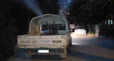 Sapanca’da Sivrisineksiz Yaz İçin Çalışmalar Devam Ediyor 