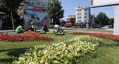 Şehrin caddeleri çiçek bahçesi gibi olacak 