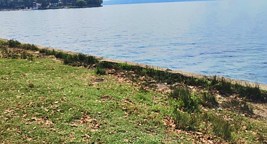 Sapanca Gölü kıyısından 23 torba çöp çıktı 