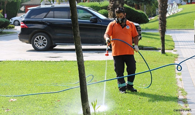 sinek ve böcek istilasına müdahale