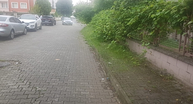 “Bakarsan Bağ olur, bakmazsan dağ olur” 