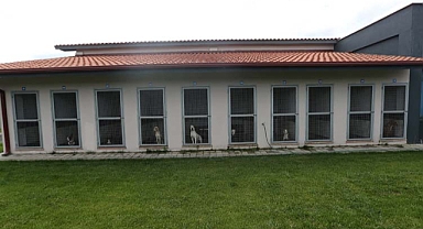 Cumhurbaşkanı Erdoğan açılışını yaptı: Can dostların en güvenli merkezi hizmete başladı 