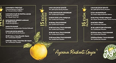 Ayva’nın başkenti Geyve’de festival başlıyor 