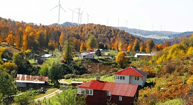 Sakarya'da sonbaharın büyüleyici yüzü: Büyükşehir'le harika bir keşfe çıktılar 