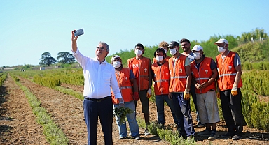 Büyükşehir üretiyor, Sakarya kazanıyor: Hasat 12 tona ulaştı 