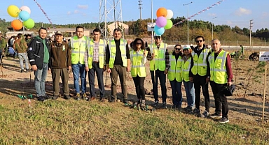 SEDAŞ’tan Milli Ağaçlandırma Günü’nde 1.250 fidan 
