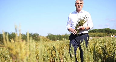 Botanik Park için süreç başlıyor: Cennet vadisine harika bir tesis geliyor 