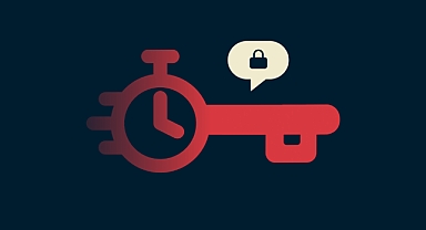 Şifrelerinizi sıfırlarken ne kadar zaman harcıyorsunuz?