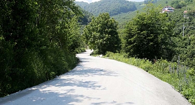 Memnuniyet artınca Büyükşehir beton yola hız verdi: 6 mahalleye 43 bin metreküp imalat 